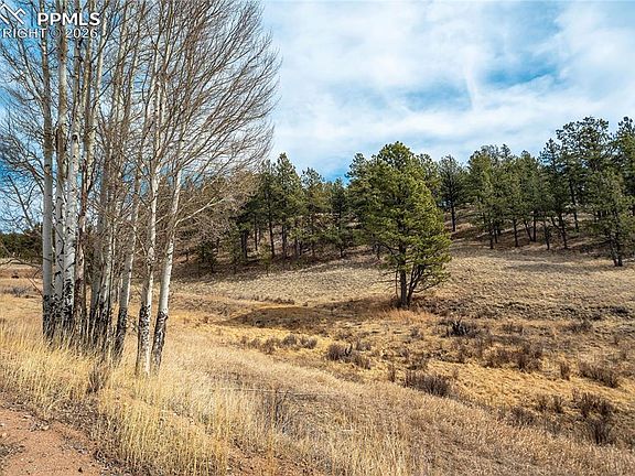 2nd image of 244 High Pasture Rd