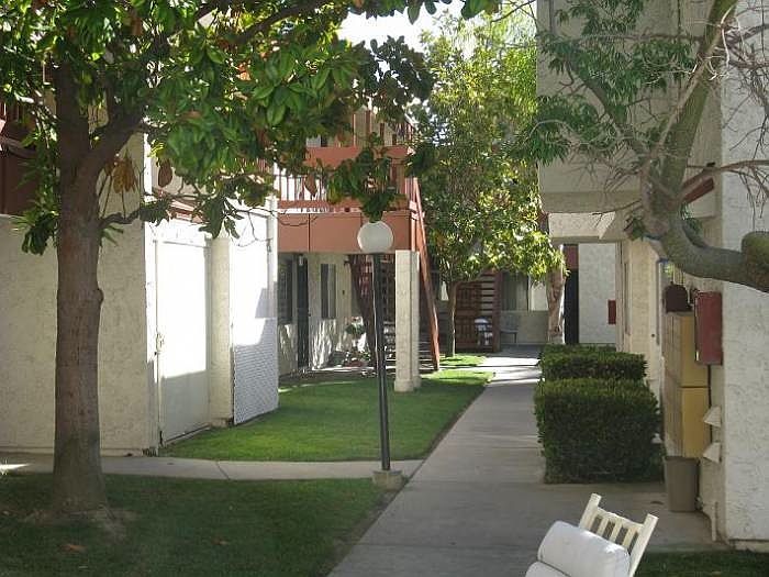 a picture of our grounds