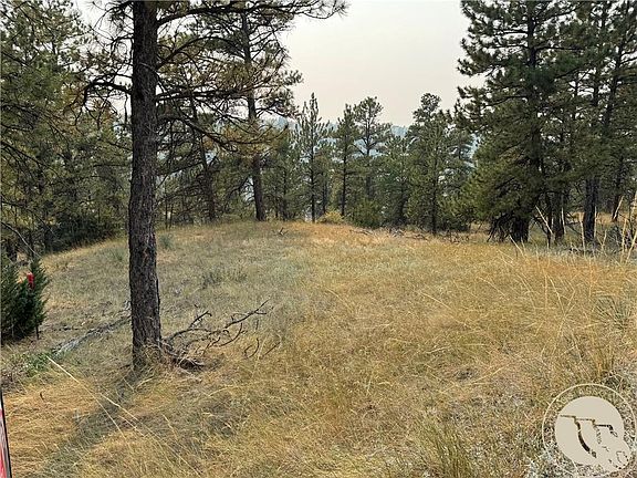 2nd image of Antelope Dr