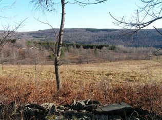 1005 W Hill Rd, Worcester, NY 12197