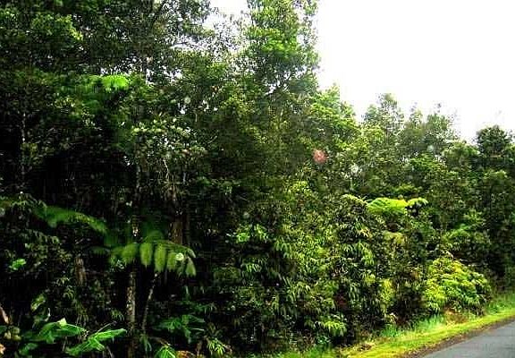 2nd image of Liona St Lot 303
