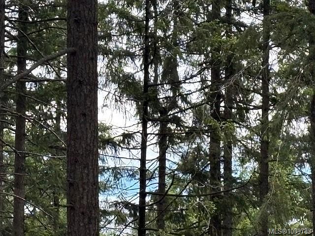 2nd image of 293 Adderly Rd