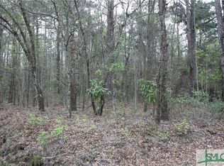 Elm St, Bloomingdale, GA 31302