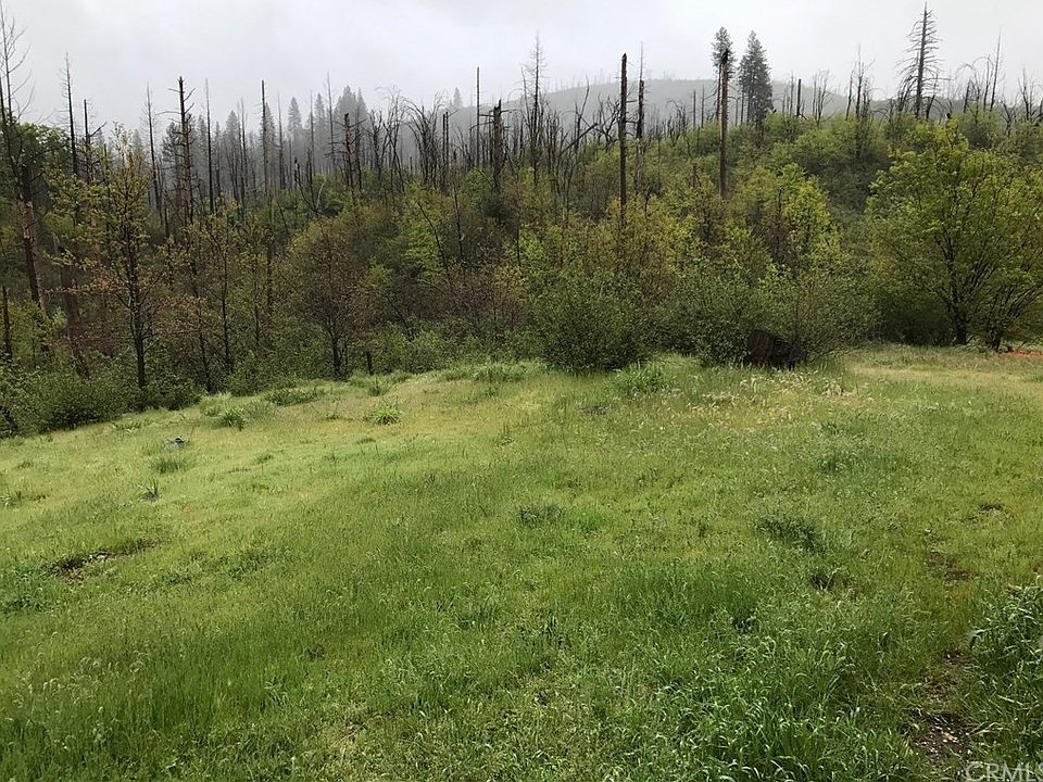 1st image of 13545 Green Forest Ln