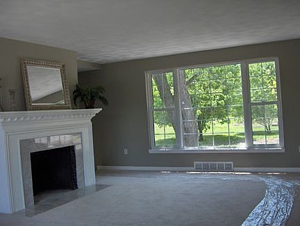 Plenty of windows highlight the fireplace in the living room.