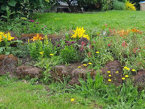 rock garden