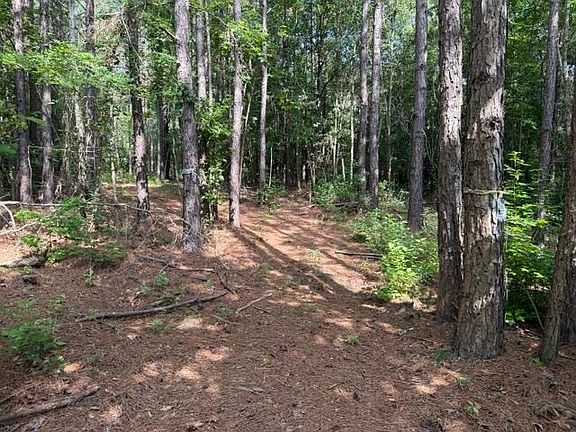 5th image of County Road 3103