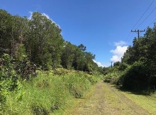 Road 1 LOT 41, Volcano, HI 96785