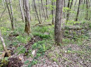 63 Coppermine Ridge, Whittier, NC 28789