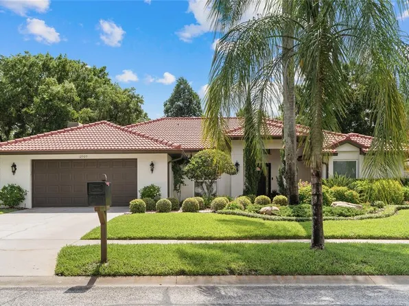 12909 Cinnimon Pl, Tampa, FL 33624