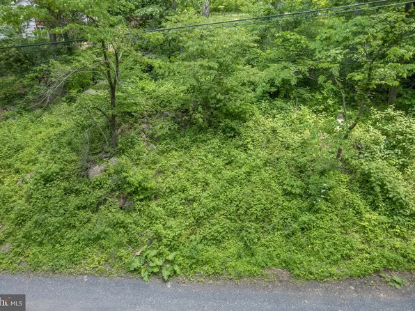 597 Gayles Ln, Front Royal, VA 22630