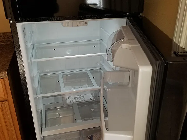 Kitchen - Black Refrigerator