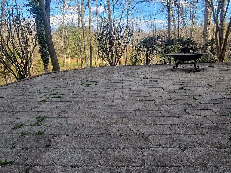 15141 Windy Hollow Cir — Photo 108