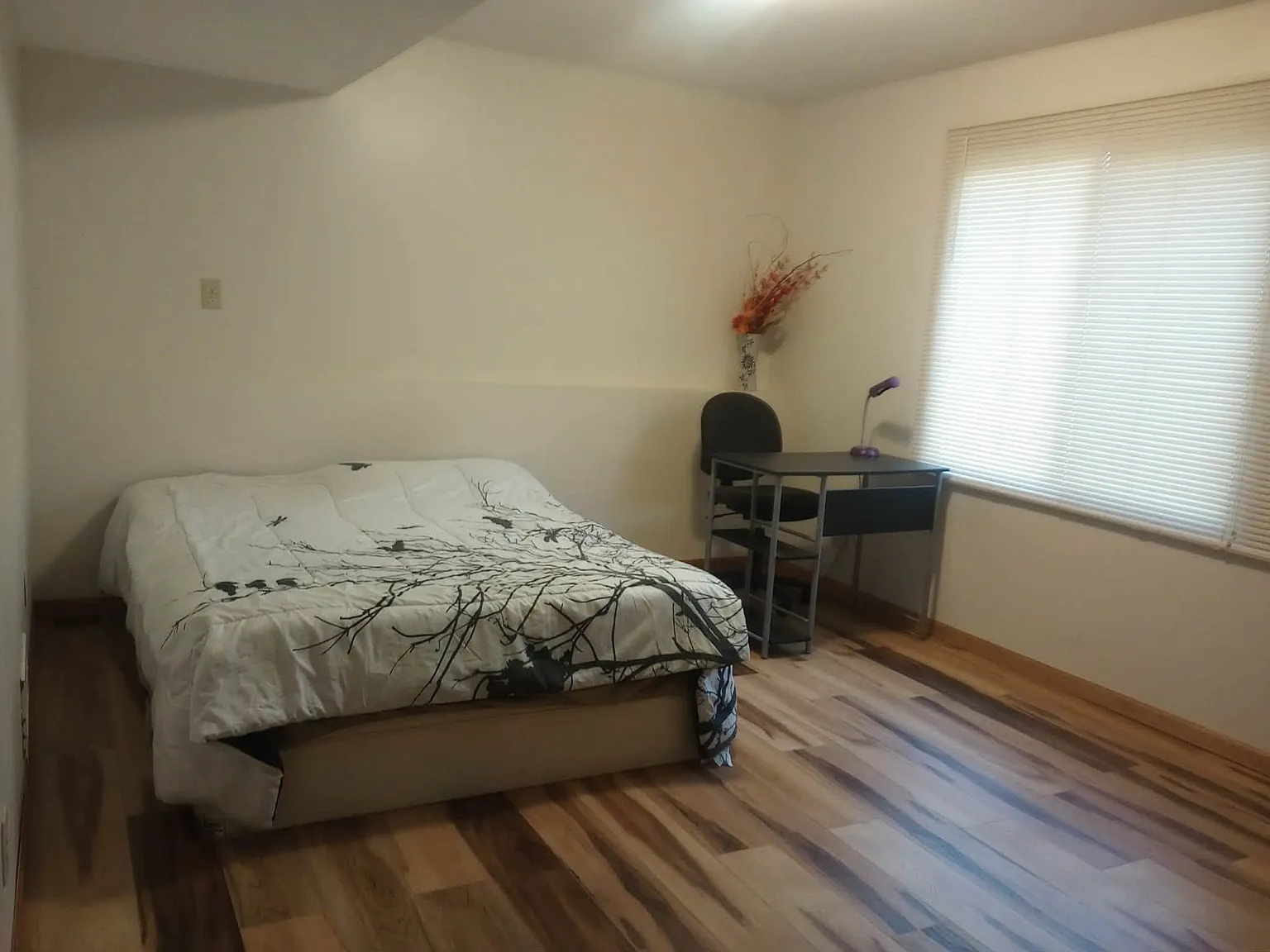 3535 Widgeon Way — Photo 2