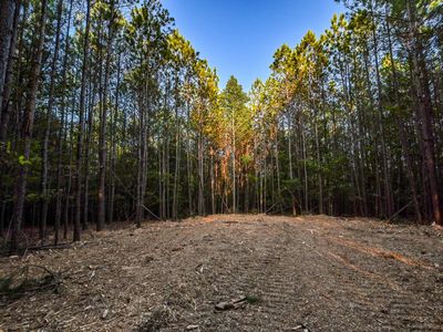 0 Brush Creek Rd Lot 9, Hohenwald, TN, 38462