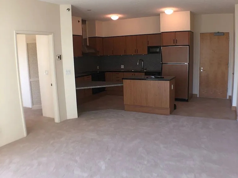 801 S King St #1011 — Photo 4