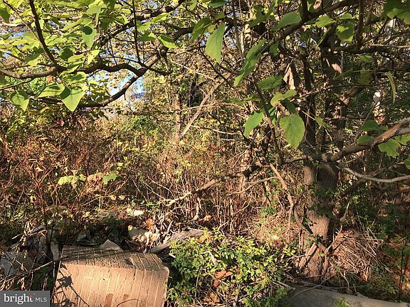 4th image of 8704 Elm Ave