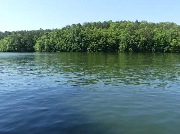 110 Burrell Ln #1, Wedowee, AL 36278
