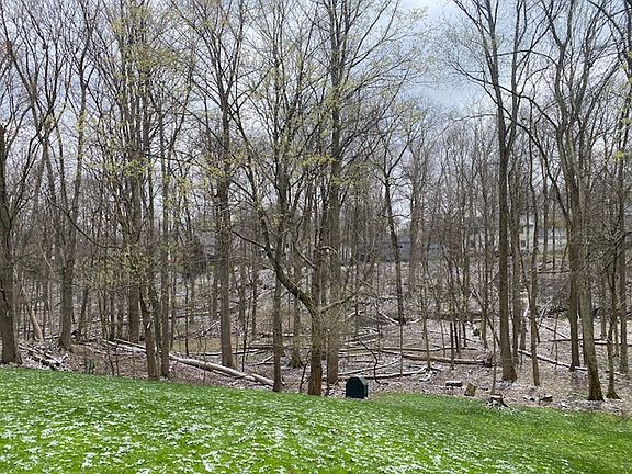 3rd image of 1014 Smokerise Dr