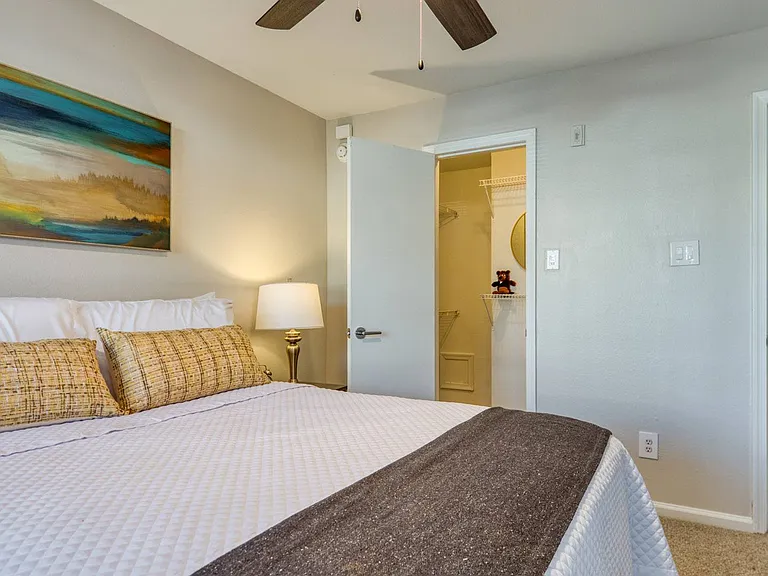 Ceiling Fans