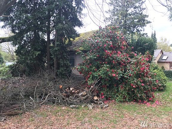 4th image of 11717 40th Ave S