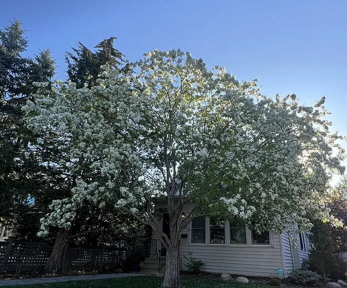 4549 Washburn Ave S — Photo 46
