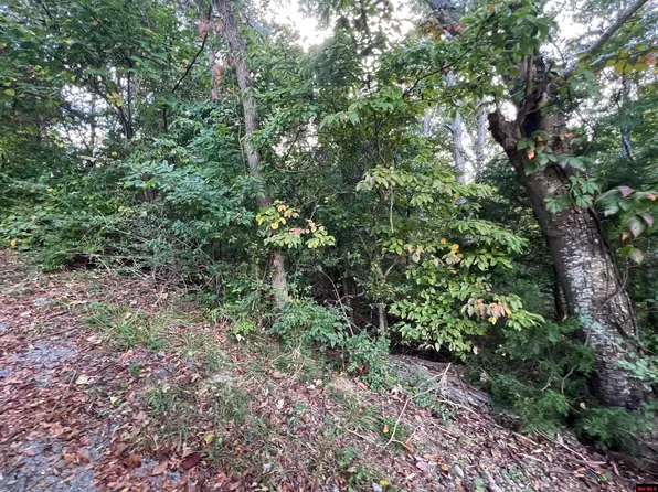 8 Alford Dr, Bull Shoals, AR 72619