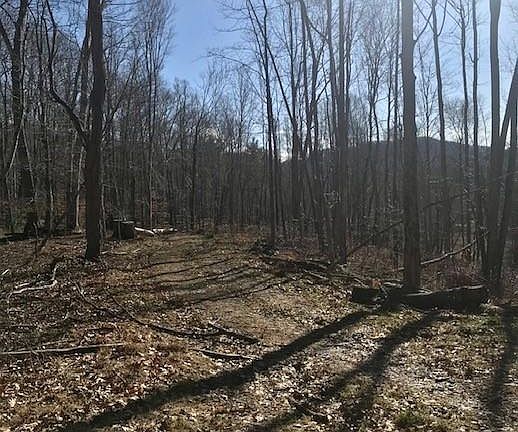 5th image of 830 Green Mountain Dr