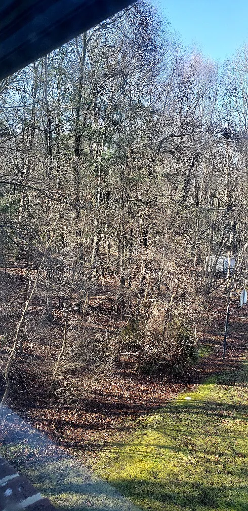 65 Newman Road - D — Photo 1