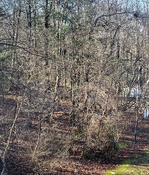 65 Newman Rd #D — Photo 1