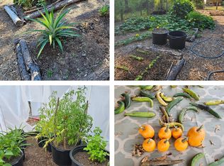 391 Deer Country Rd, Chester, TX 75936