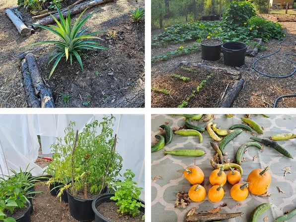 391 Deer Country Rd, Chester, TX 75936