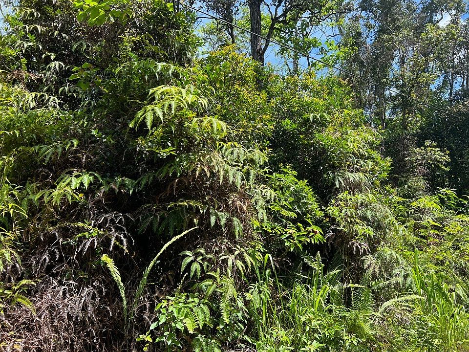 2nd image of Kalapana St Lot 726