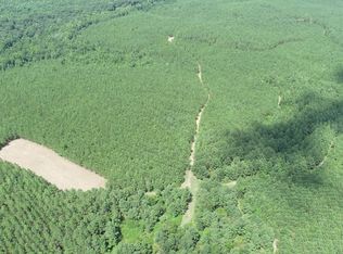 0 Dixon Hendrick Rd, Keysville, GA 30816