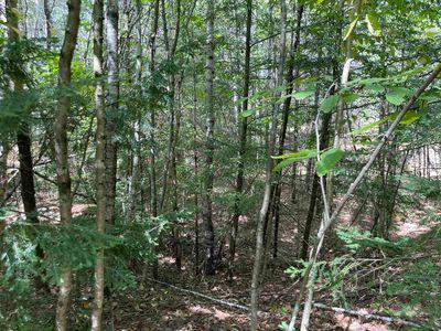 M7/L28 Stowe Mountain Road, Hillsborough, NH, 03244