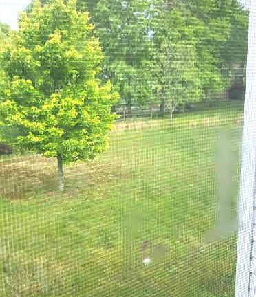 5th image of 9606 Stony Hill Dr
