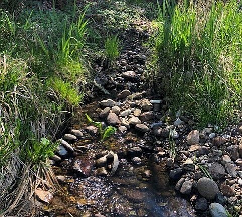 4th image of 196 Jensen Road