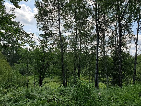 5th image of Lot 2 S Riverside Road