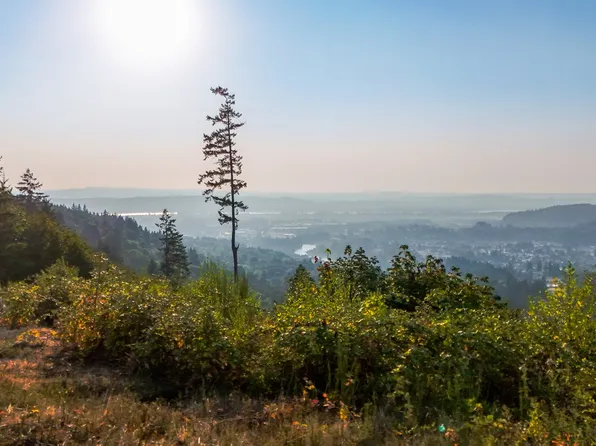 0 NW 389th St, Woodland, WA 98674