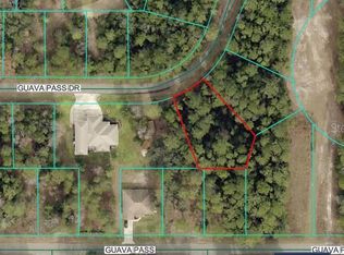 26 Guava Pass Dr Lot 26, Ocklawaha, FL 32179
