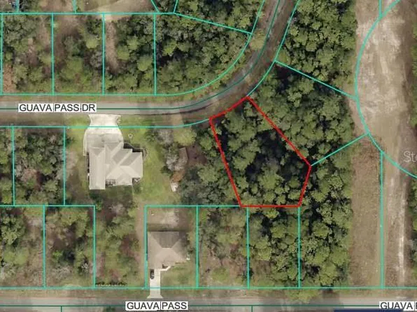 26 Guava Pass Dr Lot 26, Ocklawaha, FL 32179