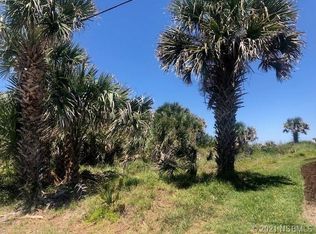4611 Van Kleeck Dr, New Smyrna Beach, FL 32169