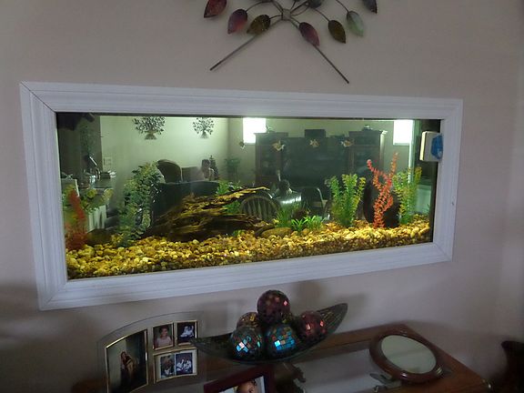 2nd image of 1049 Drift Creek Cv