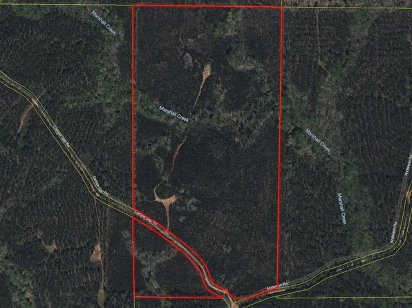 0 Carlisle Gap Rd, Woodland, GA 31836