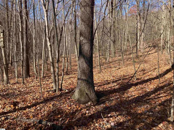 130 Indian Pipe Trl, Landrum, SC 29356