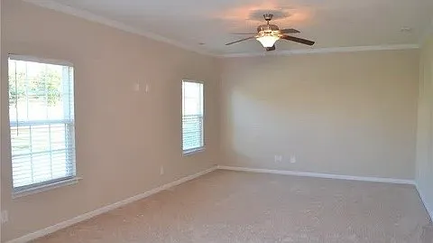 4313 Overbecks Ln — Photo 22
