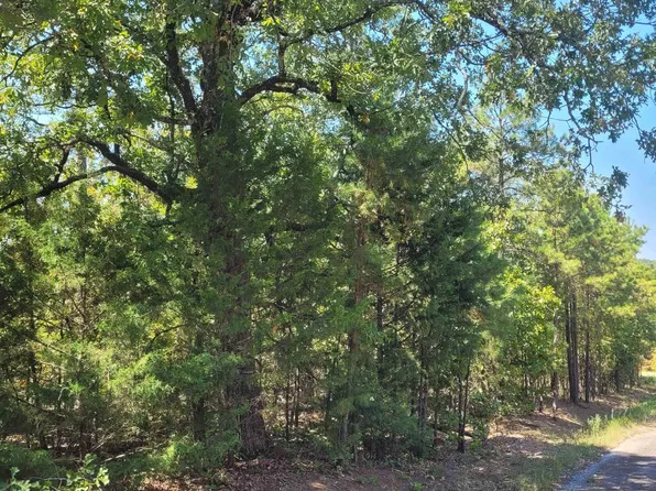 29 Lake Hill Dr, Houston, AR 72070