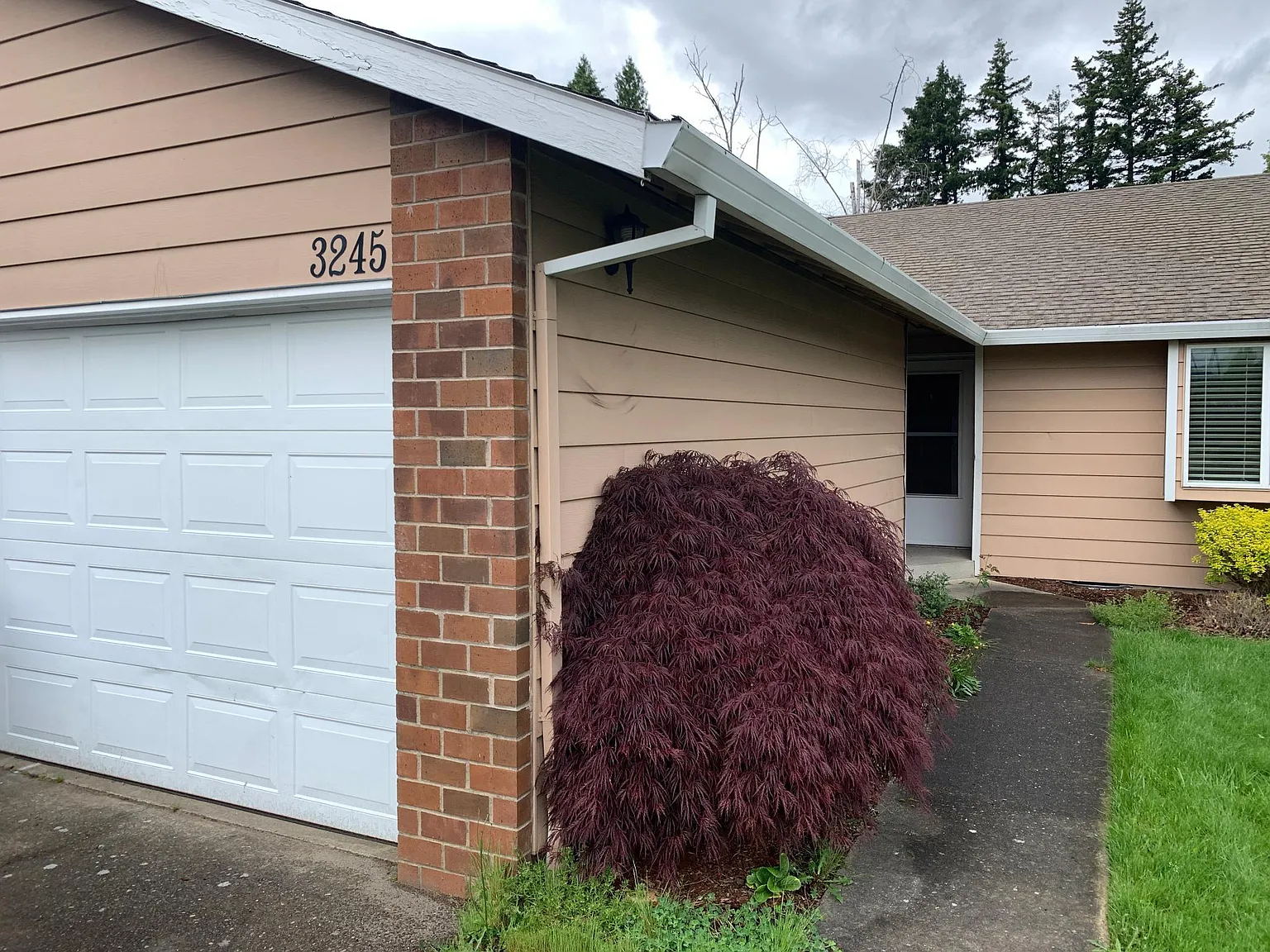 2 bed, 1050 sqft, $1,850 — Photo 2