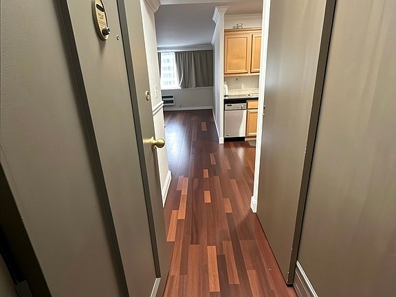 3rd image of 253 E Delaware Pl APT 21F