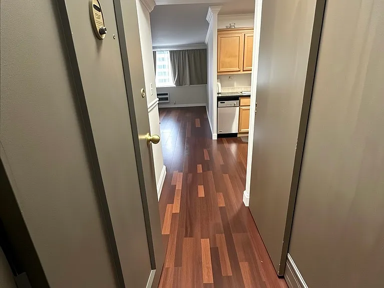 253 E Delaware Pl #21F — Photo 3
